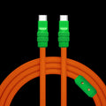 Chrysanthemum Chubby - Specially Customized ChubbyCable