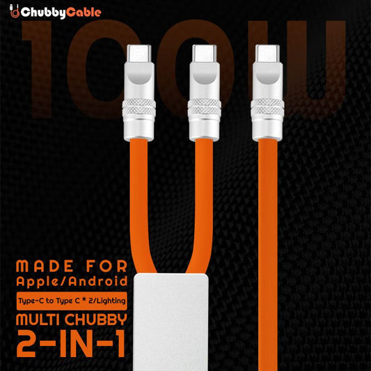 "Multi Chubby" 2 IN 1 100W Charge Cable